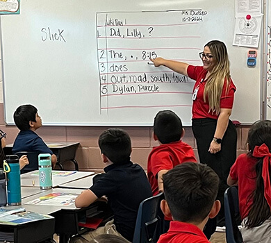 Learning Expert Teacher
