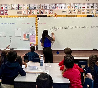 Subject Expert Teacher